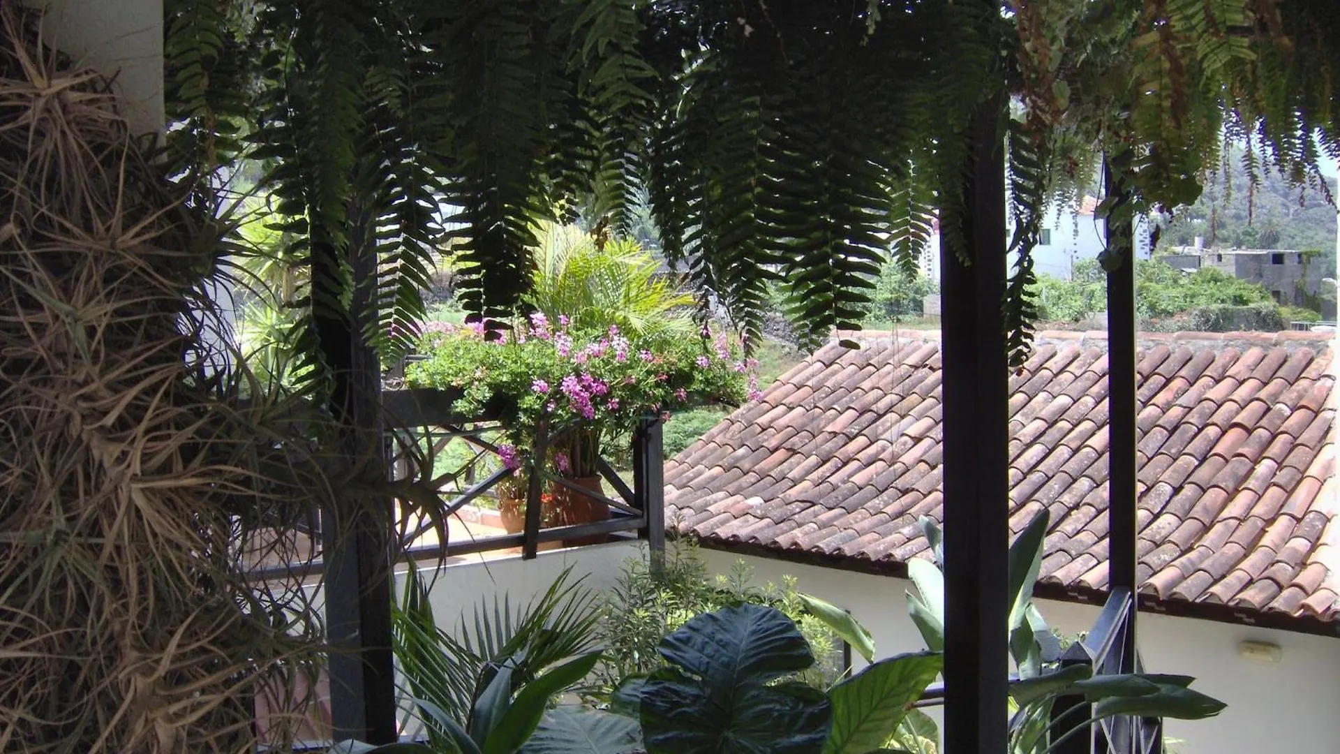Apartamento Small Studio 15M For Young People With Sea View Icod De Los Vinos
