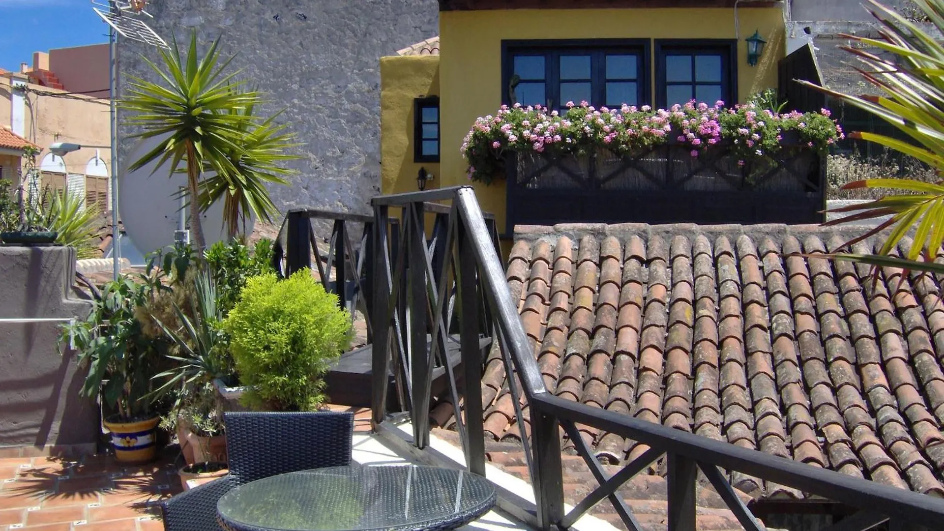 Small Studio 15M For Young People With Sea View Icod De Los Vinos Apartamento