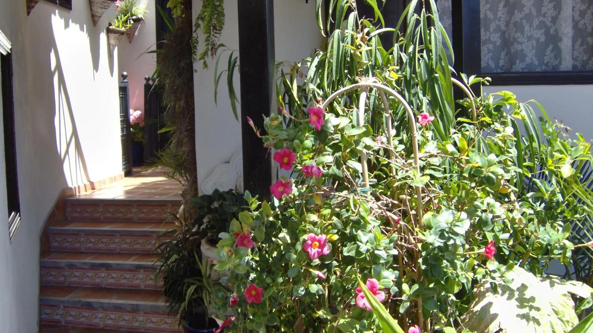 Small Studio 15M For Young People With Sea View Icod De Los Vinos Apartamento