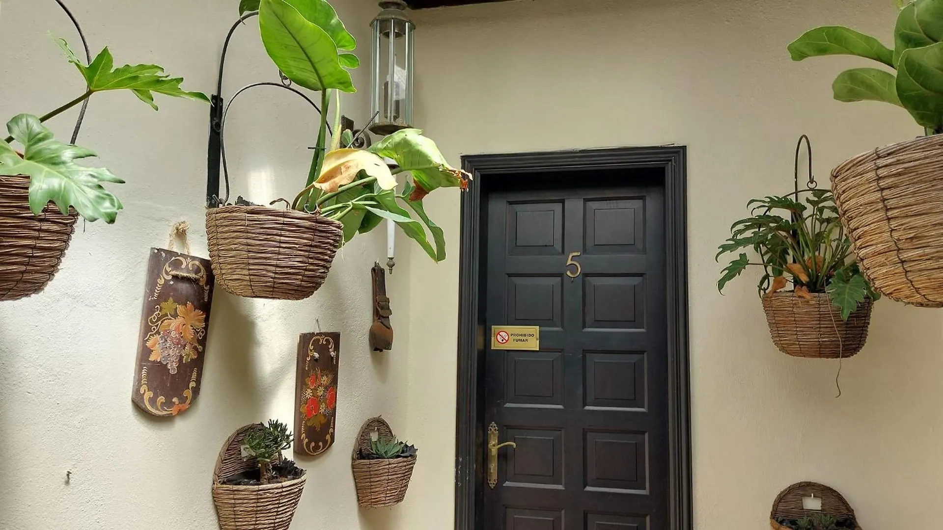 Small Studio 15M For Young People With Sea View Icod De Los Vinos Apartamento